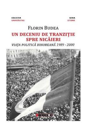 Un deceniu de tranzitie spre nicaieri - Florin Budea