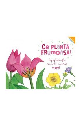 Ce planta frumoasa! Despre plantele cu flori - Capucine Mazille, Marguerite Tiberti