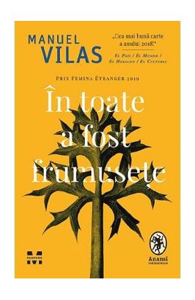 In toate a fost frumusete - Manuel Vilas