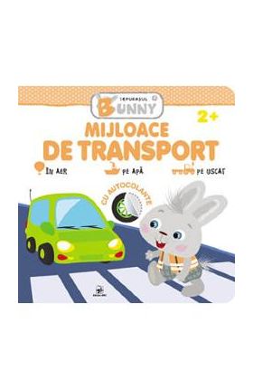 Mijloace de transport. Iepurasul Bunny