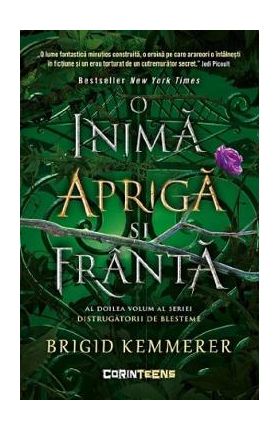 O inima apriga si franta. Seria Distrugatorii de blesteme Vol.2 - Brigid Kemmerer