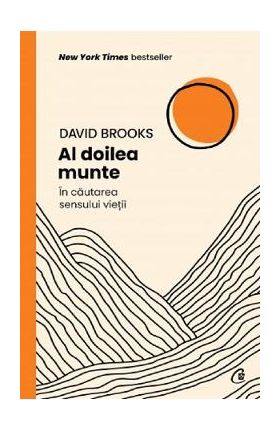 Al doilea munte. In cautarea sensului vietii - David Brooks