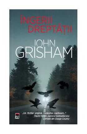 Ingerii dreptatii - John Grisham