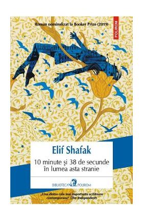 10 minute si 38 de secunde in lumea asta stranie - Elif Shafak