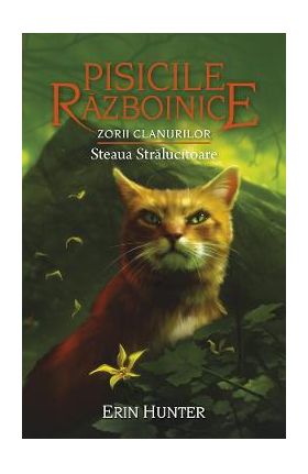 Pisicile razboinice Vol.28: Steaua stralucitoare - Erin Hunter