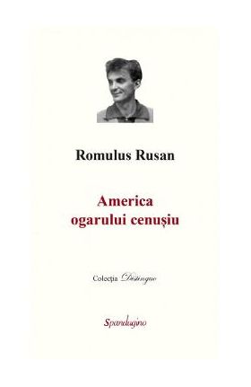 America ogarului cenusiu - Romulus Rusan