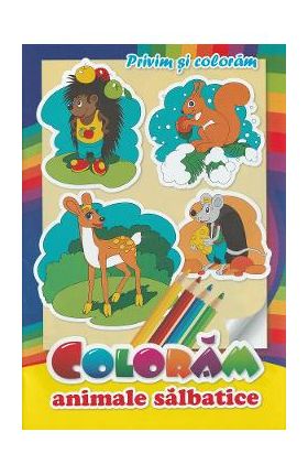 Coloram animale salbatice. Privim si coloram