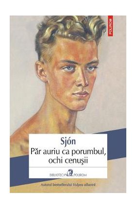 Par auriu ca porumbul, ochi cenusii - Sjon