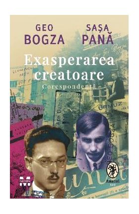 Exasperarea creatoare. Corespondenta - Geo Bogza, Sasa Pana