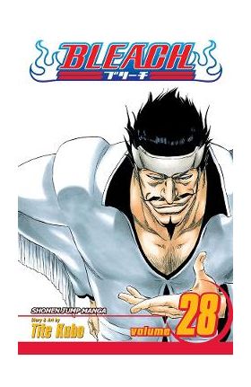 Bleach Vol.28 - Tite Kubo