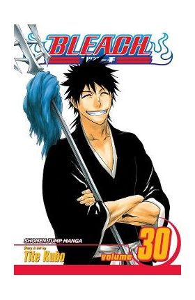 Bleach Vol.30 - Tite Kubo