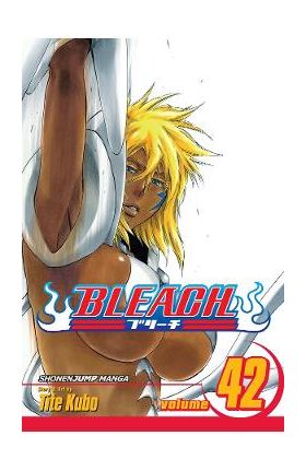 Bleach Vol.42 - Tite Kubo