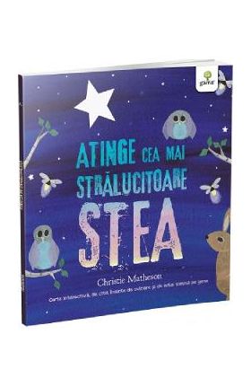 Atinge cea mai stralucitoare stea - Christie Matheson