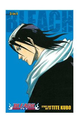 Bleach (3-in-1 Edition) Vol.3 - Tite Kubo