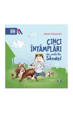 Cinci intamplari din viata lui Sandel - Alexei Vaculovschi