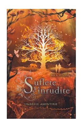Suflete inrudite. Umbrele amintirii - Nica Stevens