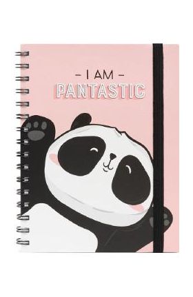 Agenda: Panda