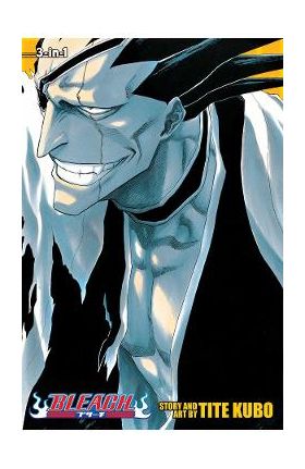 Bleach (3-in-1 Edition) Vol.5 - Tite Kubo