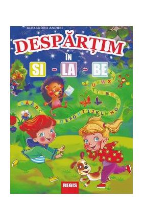 Despartim in si-la-be - Alexandru Andrei