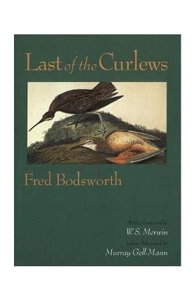 Last of the Curlews - Fred Bodsworth