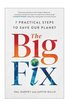The Big Fix: Seven Practical Steps to Save Our Planet - Hal Harvey