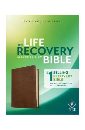 NLT Life Recovery Bible, Second Edition (Leatherlike, Rustic Brown) - Stephen Arterburn