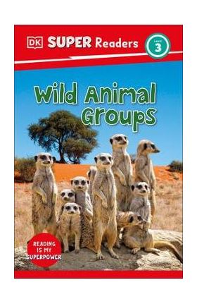 DK Super Readers Level 3 Wild Animal Groups - Dk