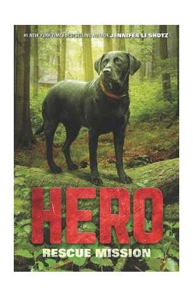 Hero: Rescue Mission - Jennifer Li Shotz