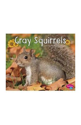 Gray Squirrels - G. G. Lake