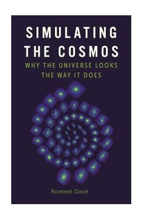 Simulating the Cosmos: Why the Universe Looks the Way It Does - Romeel Davé