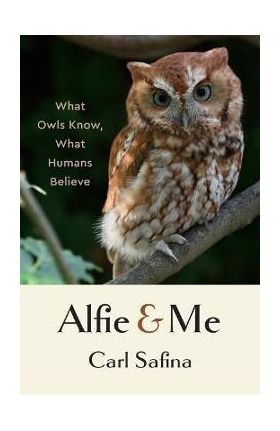 Alfie and Me: What Owls Know, What Humans Believe - Carl Safina