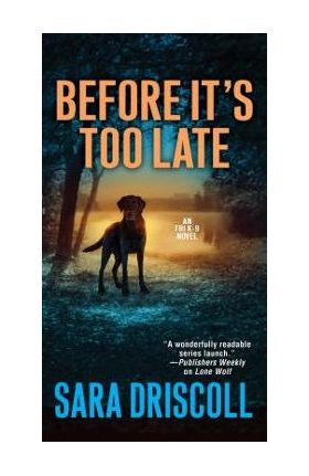 Before It's Too Late - Sara Driscoll