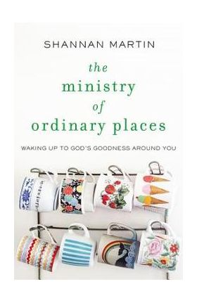 The Ministry of Ordinary Places: Waking Up to God's Goodness Around You - Shannan Martin