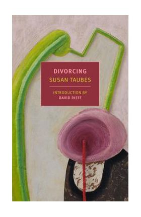 Divorcing - Susan Taubes