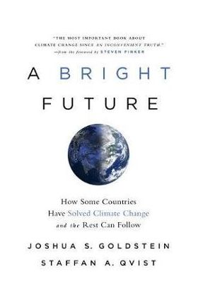 A Bright Future: How Some Countries Have Solved Climate Change and the Rest Can Follow - Joshua S. Goldstein