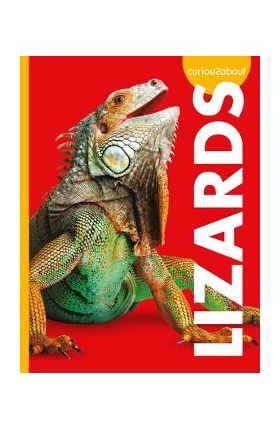 Curious about Lizards - Alissa Thielges