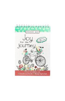 Joy for the Journey - Amylee Weeks