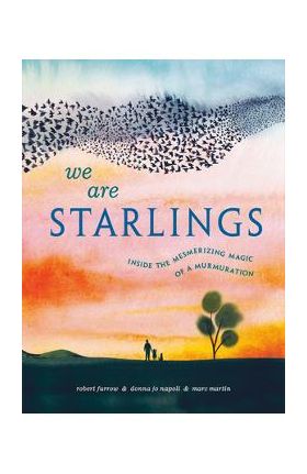 We Are Starlings: Inside the Mesmerizing Magic of a Murmuration - Robert Furrow