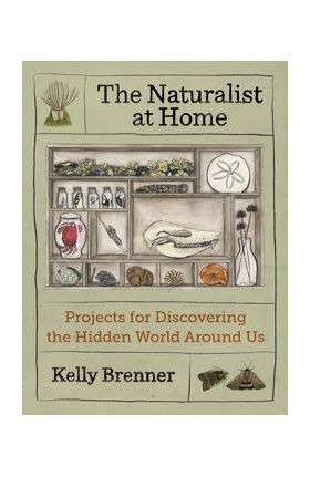 The Naturalist at Home: Projects for Discovering the Hidden World Around Us - Kelly Brenner