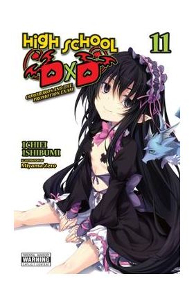 High School DXD, Vol. 11 (Light Novel) - Ichiei Ishibumi