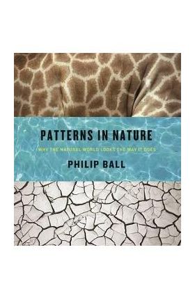 Patterns in Nature: Why the Natural World Looks the Way It Does - Philip Ball