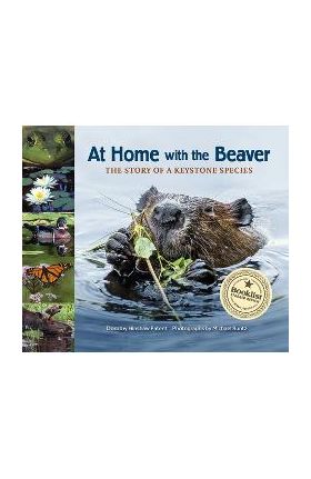 At Home with the Beaver: A Story of a Keystone Species - Dorothy Hinshaw Patent