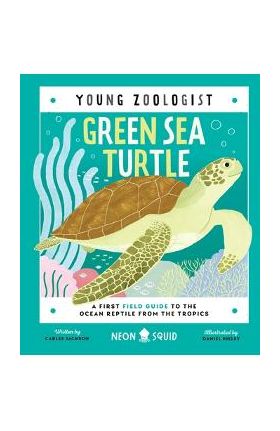 Green Sea Turtle (Young Zoologist): A First Field Guide to the Ocean Reptile from the Tropics - Carlee Jackson