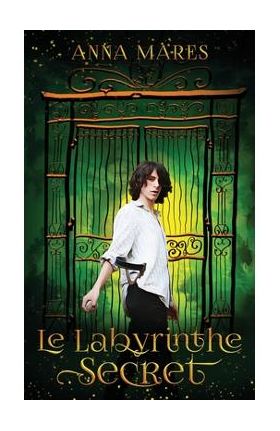 Le labyrinthe secret - Agnes Matheson