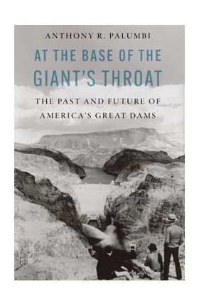 At the Base of the Giant's Throat: The Past and Future of America's Great Dams - Anthony R. Palumbi