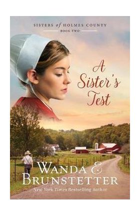 A Sister's Test: Volume 2 - Wanda E. Brunstetter