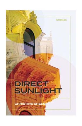 Direct Sunlight: Stories - Christine Sneed