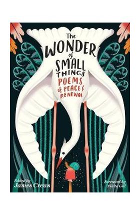 The Wonder of Small Things: Poems of Peace and Renewal - James Crews