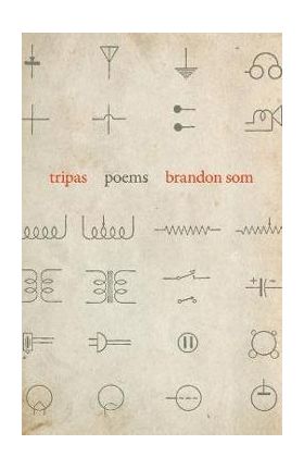 Tripas - Brandon Som