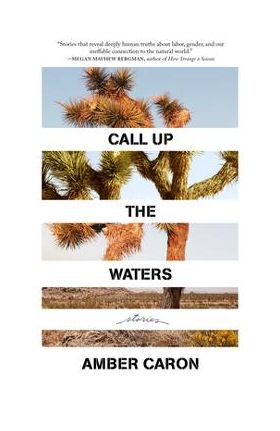 Call Up the Waters: Stories - Amber Caron